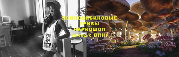 герыч Лагань
