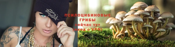 шишки Лихославль