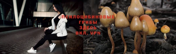 герыч Лагань