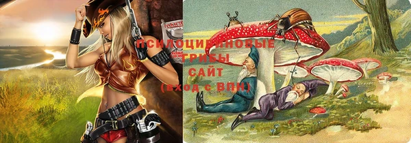 наркотики Ладушкин