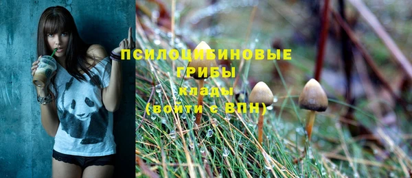 герыч Лагань