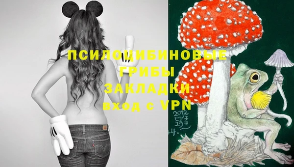 герыч Лагань