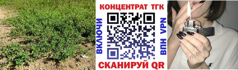 ТГК Wax где можно купить Коломна