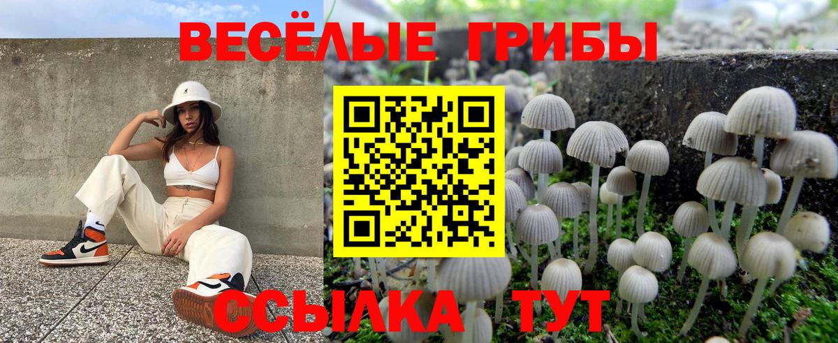 Псилоцибиновые грибы ЛСД  Вход с VPN  Коломна 